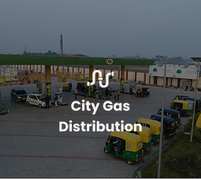 City Gas Distribution